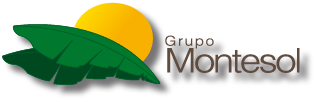 bananerasmontesol.com